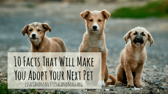 10 Facts That Will Make You Adopt Your Next Pet | Lisa Landman