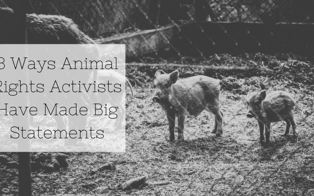 3 Ways Animal Rights Activists Have Made Big Statements