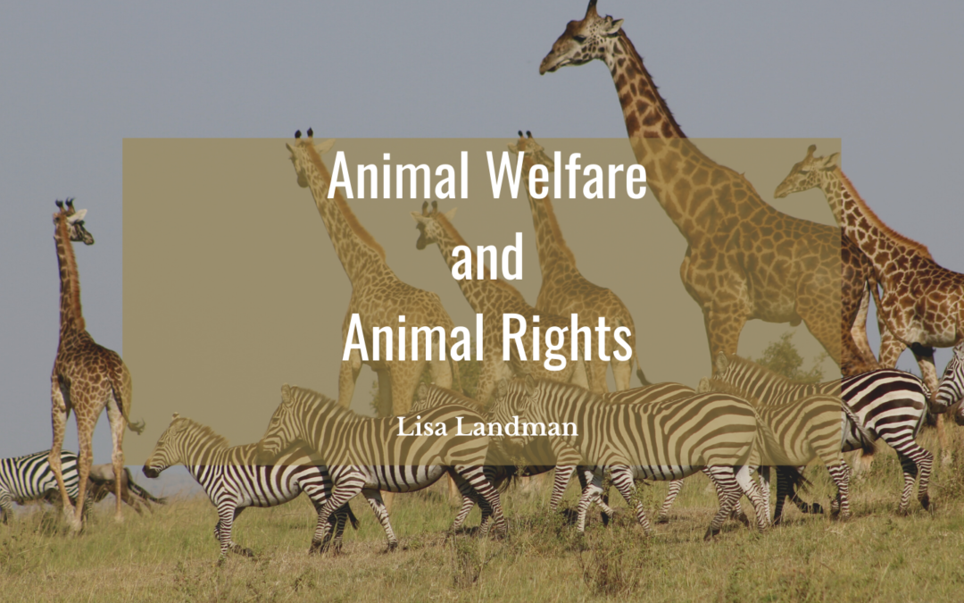 Animal Welfare and Animal Rights
