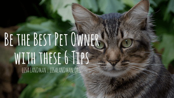 Be the Best Pet Owner with these 6 tips | Lisa Landman