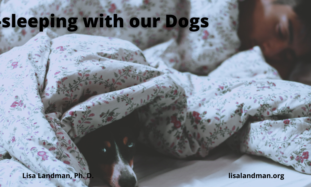 Co Sleeping With Our Dogs