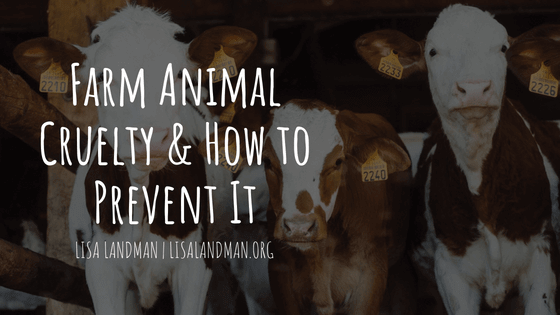 Farm Animal Cruelty & How To Prevent It | Lisa Landman