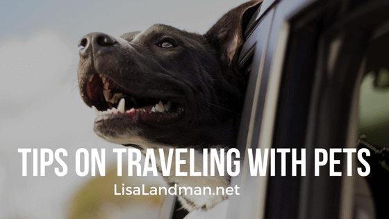 Tips on Traveling With Pets | Lisa Landman