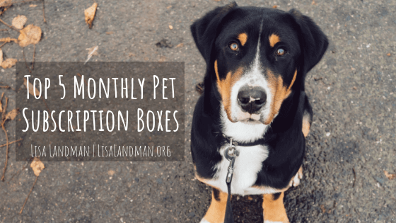 Top 5 Monthly Pet Subscription Boxes | Lisa Landman