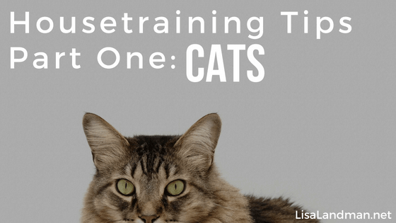 Housetraining Cats | Lisa Landman