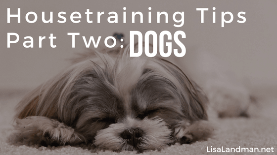 Housetraining Tips Part Two - Dogs | Lisa Landman