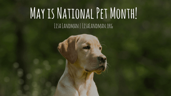 May is National Pet Month | Lisa Landman