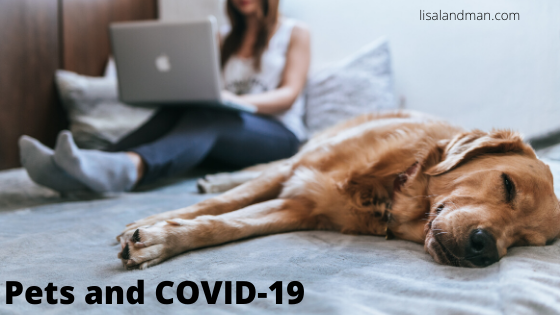 Pets and COVID-19